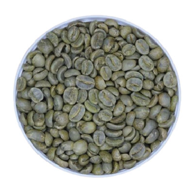 Arabica S18 Fully Washed - Arabica Specialty