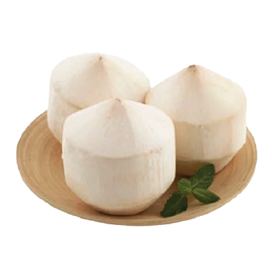 Coconut