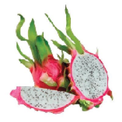 Dragon Fruit