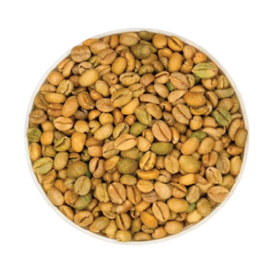 Excelsa Coffee Grade 1 Screen 16 Cleaned