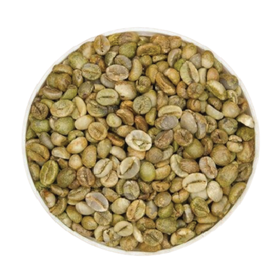 Excelsa Coffee Grade 2
