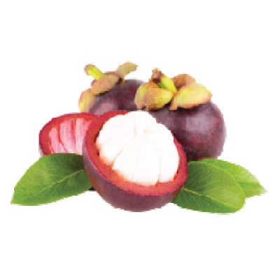 Mangosteen