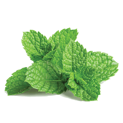 Mint Leaves
