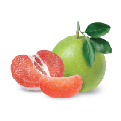 Pink Grapefruit