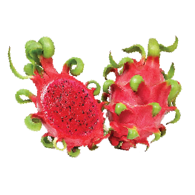Red Dragon Fruit