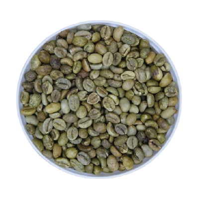 Robusta Coffee Grade 1 Screen 16 Cleaned (0.5%BB)