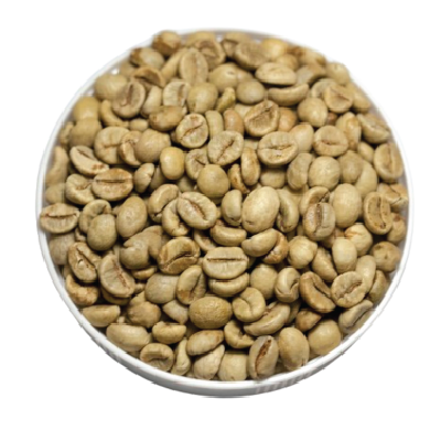 Robusta Fully Washed Processed Coffee Beans – S18, S16