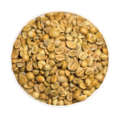 Robusta Yellow Honey Processed Coffee Beans – Daklak origin – S18, S16