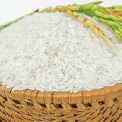 Than Nong Rice CT504