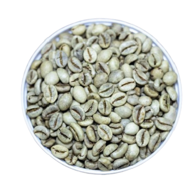 Vietnam Wet Polished Robusta Green Coffee Beans (S18, S16) – Grade 1