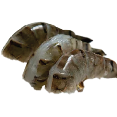 Black Tiger Shrimp EZ-PEEL