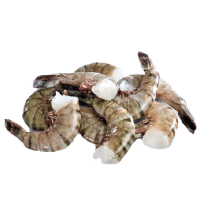 Black Tiger Shrimp HLSO