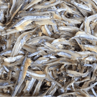 Dried Boiled Gray Anchovy Fillet