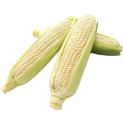 Frozen Boiled Glutinous Corn