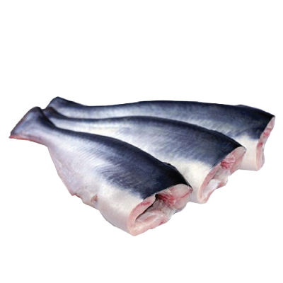 Pangasius HGT