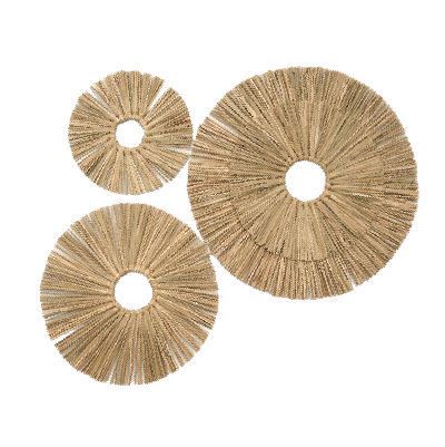 Seagrass Plate Wall Hanging Decor, Art Set